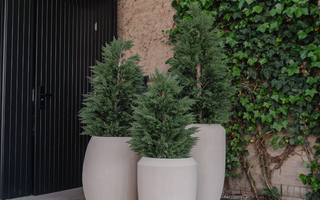 Plantes Artificielles Résistantes aux UV pour l'Extérieur : Guide Complet