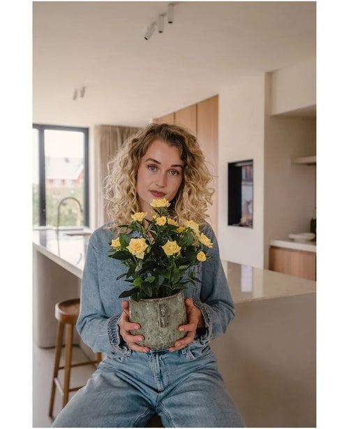 Une femme aux cheveux blonds bouclés, vêtue de vêtements en jean, est assise dans une cuisine moderne avec la Plante Artificielle Mini Rose UV 35 cm jaune dans ses mains et regarde droit dans la caméra.