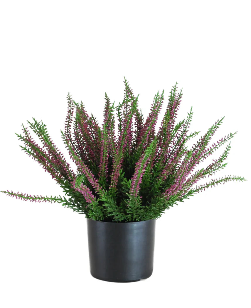 La Plante Artificielle Erica 33 cm est une plante artificielle dressée dans un pot noir, avec des feuilles vertes touffues et de nombreuses longues tiges décorées de petites fleurs violettes et roses qui s'étalent vers l'extérieur.