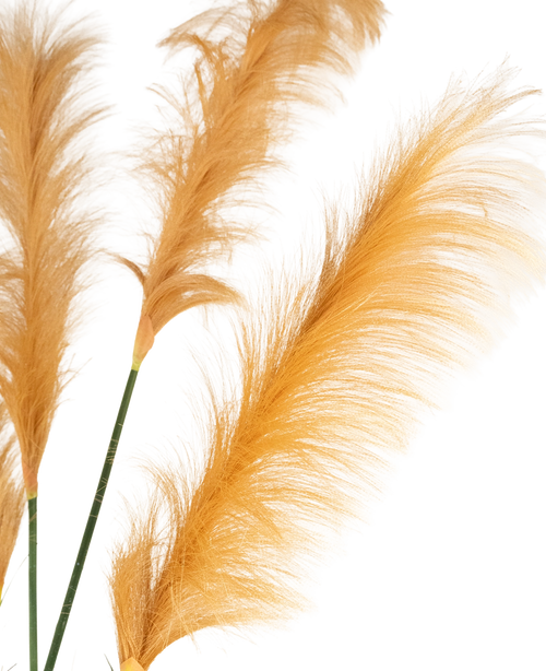 Trois tiges d'herbe de pampa artificielle orange doré de 150 cm, ignifuges, présentent des panaches légers comme une plume sur un fond blanc. Les textures douces et délicates sont magnifiquement mises en valeur par l'éclairage.