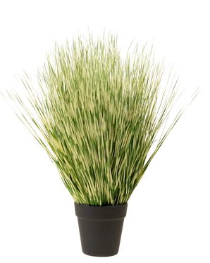 Le gazon artificiel Zebra 55 cm a de longues et fines feuilles panachées de vert et de blanc ressemblant à de l'herbe dans un simple pot noir, sur un fond blanc uni.