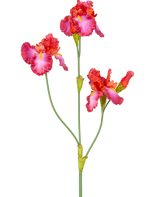 La fleur artificielle Iris 102 cm rouge a une tige avec trois fleurs roses et rouges vibrantes avec des accents jaunes et blancs. Les tiges et les bourgeons verts sont visibles sur un fond blanc uni.