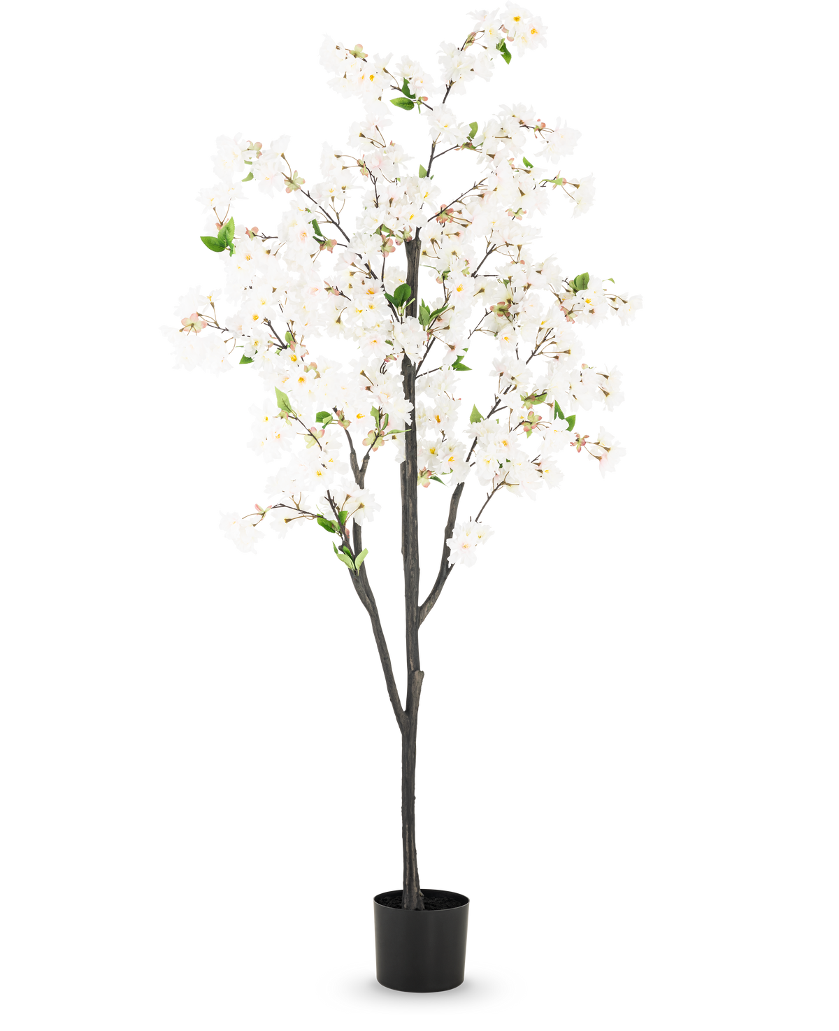 La Fleur de Cerisier Artificielle 180 cm blanche est un grand arbre artificiel avec plusieurs branches marron foncé, des fleurs blanches et des feuilles vertes dans un simple pot noir, sur un fond blanc uni.