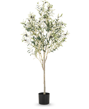 L'Olivier Artificiel 150 cm a des branches fines et des feuilles vertes avec de petites olives noires dans un simple pot noir, idéal pour ajouter une atmosphère méditerranéenne à n'importe quelle pièce.