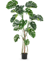 La plante artificielle Monstera 180 cm est une grande plante artificielle avec de grandes feuilles vertes fendues et brillantes dans un petit pot noir, représentée sur un fond blanc uni.