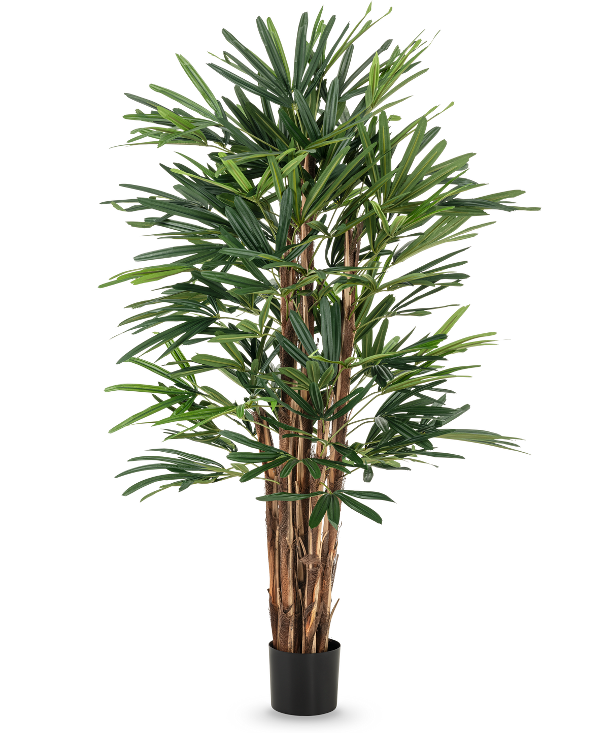 Le palmier artificiel Lady 150 cm a plusieurs tiges brunes et des feuilles vertes denses et minces dans un simple pot noir. Cette grande plante en pot est idéale pour les amateurs d’arbres artificiels et offre une verdure luxuriante sur n’importe quelle toile de fond.