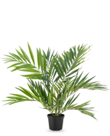 Le palmier artificiel Parlor UV 60 cm a des feuilles longues et étroites sur plusieurs tiges dans un simple pot noir, sur un fond blanc - un palmier artificiel élégant qui embellit n'importe quelle pièce.