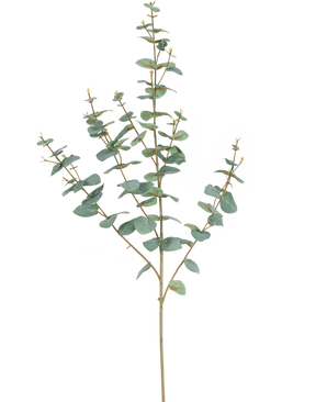 L'Eucalyptus Artificiel 96 cm possède des tiges élancées et des feuilles rondes bleu-vert, élégamment présentées sur un fond blanc uni.