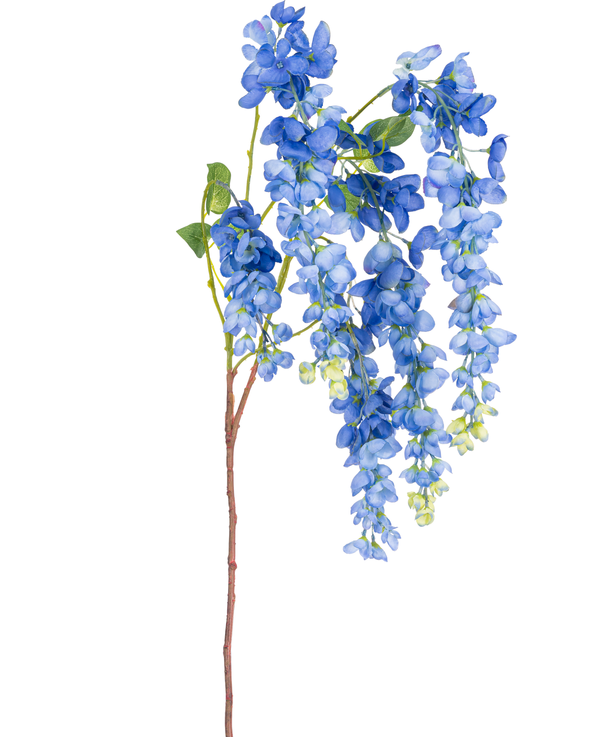 Une seule tige de glycine artificielle de 115 cm avec des fleurs de glycine vibrantes et des feuilles vertes sur une longue et mince tige brune, isolée sur un fond blanc.