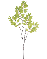 Illustration à l'aquarelle d'une fougère artificielle ramifiée de 83 cm verte, avec une fine branche brune avec trois tiges et des grappes de feuilles vertes vibrantes sur fond blanc.
