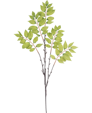 Illustration à l'aquarelle d'une fougère artificielle ramifiée de 83 cm verte, avec une fine branche brune avec trois tiges et des grappes de feuilles vertes vibrantes sur fond blanc.