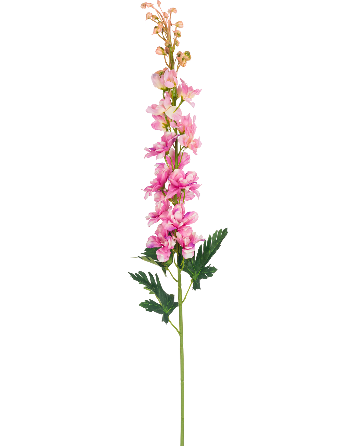 Une seule fleur artificielle Delphinium rose de 79 cm avec des feuilles vertes profondément lobées, isolées sur un fond blanc.