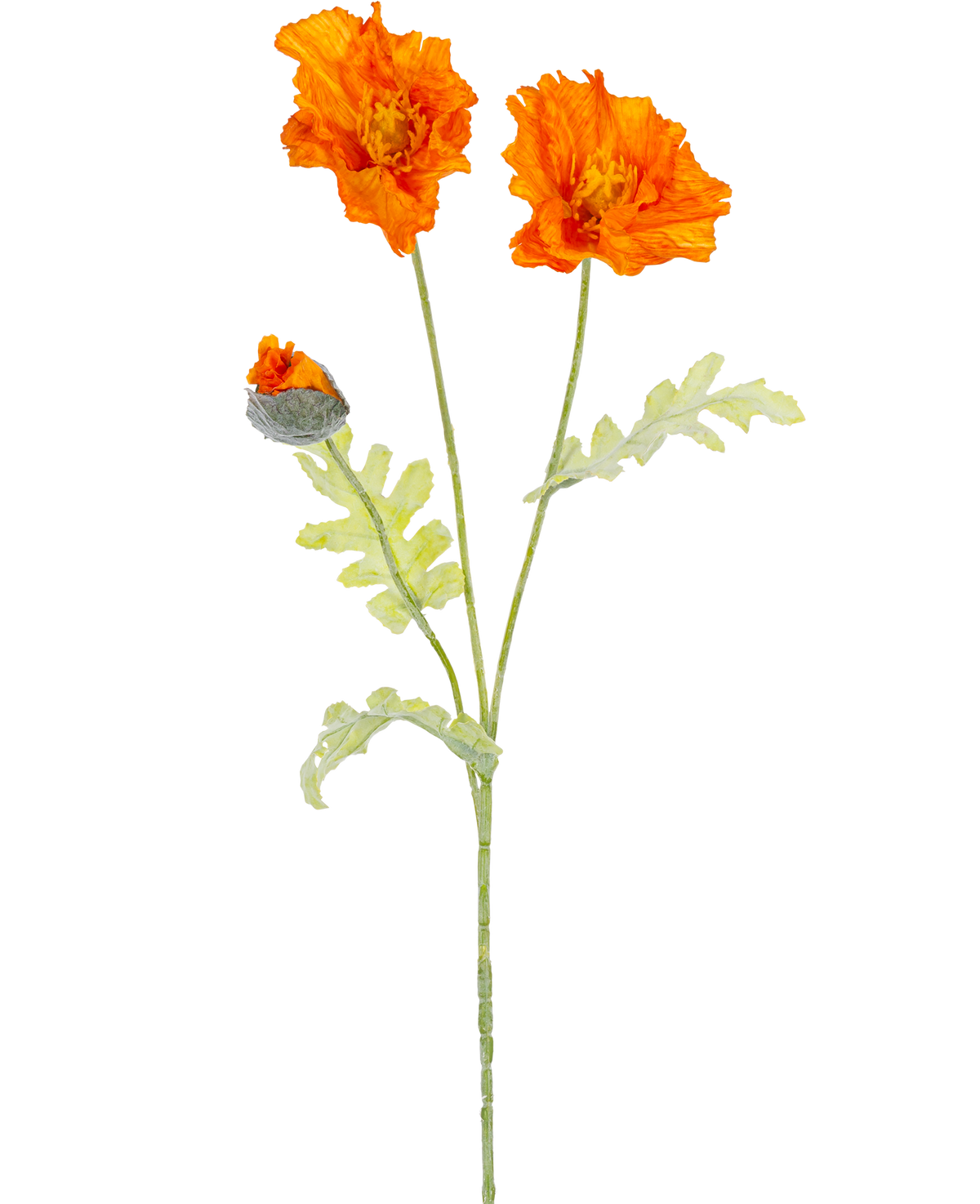 Une illustration botanique de la fleur artificielle de coquelicot 73 cm orange montre deux fleurs orange ouvertes et un bourgeon fermé sur de longues tiges vertes avec des feuilles vert clair profondément lobées.