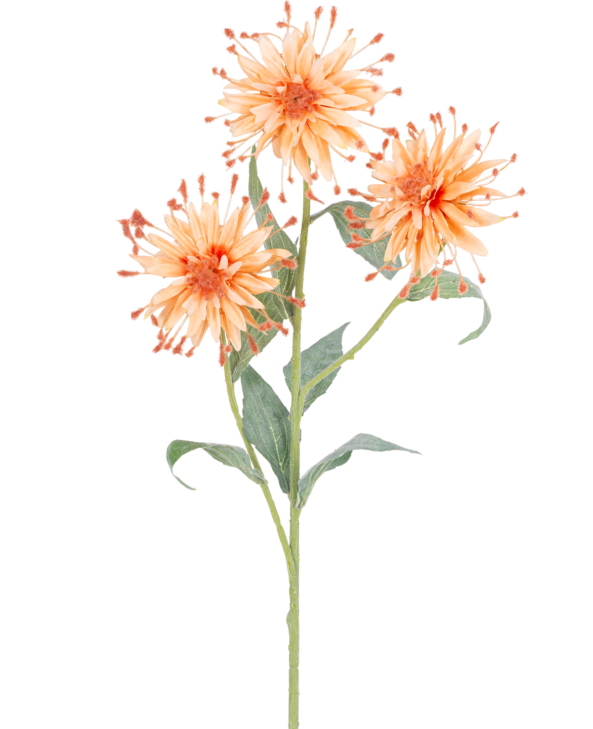 Une fleur artificielle Scabiosa Japonica à tige de pêche de 70 cm avec trois fleurs artificielles orange, des pétales épineux et des feuilles vertes, photographiées sur un fond blanc.