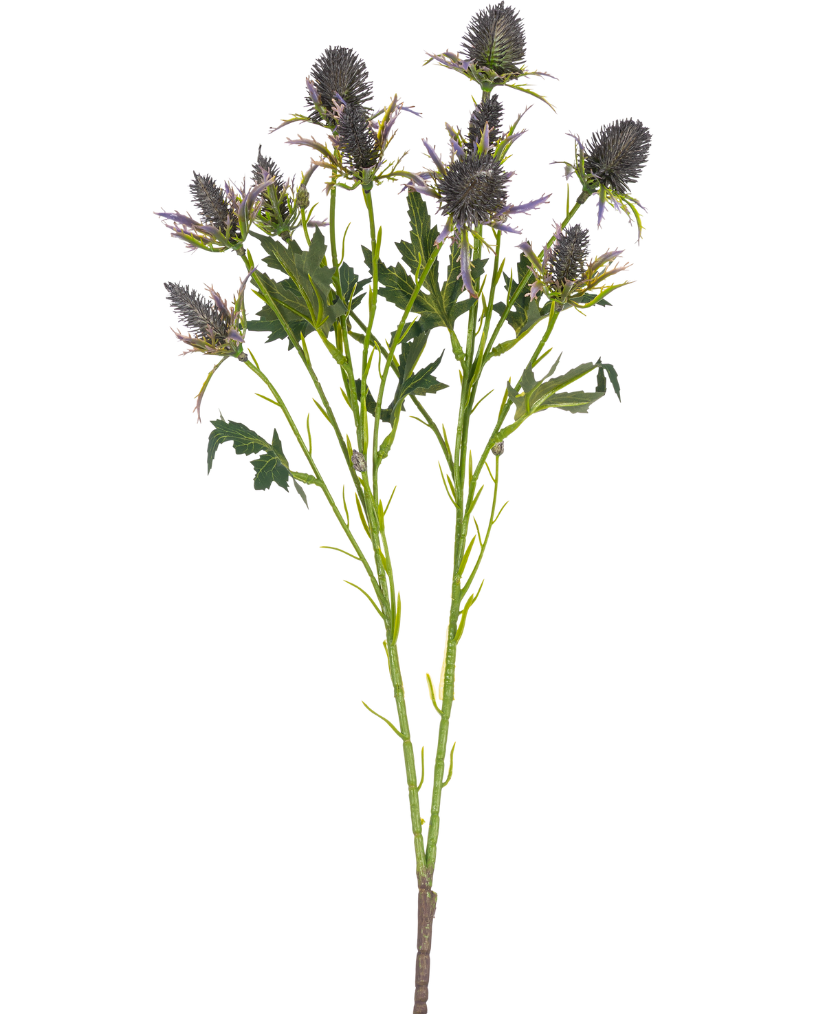 La branche artificielle de chardon de 68 cm bleu a une seule tige avec de multiples fleurs de chardon bleu épineux et des feuilles vertes dentelées, isolées sur un fond blanc.