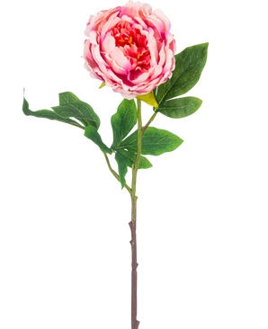 La Fleur Artificielle Pivoine 61 cm rose a une seule pivoine rose avec des feuilles vertes luxuriantes et une longue tige brune, isolée sur un fond blanc.