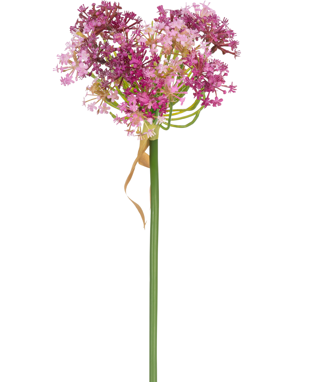 La fleur artificielle Allium 60 cm violet a une haute tige verte avec une grappe en forme de cœur de petites fleurs roses et violettes, accentuée par une fine feuille brun clair séchée qui repose librement autour de la tige, sur un fond blanc.