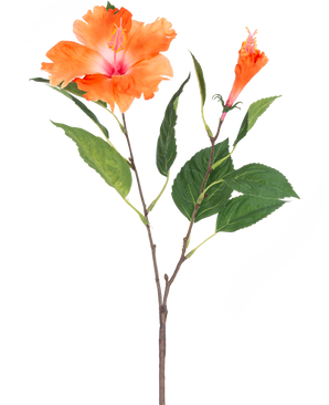 La Fleur Artificielle Hibiscus 64 cm orange a une seule tige avec des feuilles vertes et deux fleurs orange, une entièrement épanouie et une en forme de bouton, sur un fond blanc.