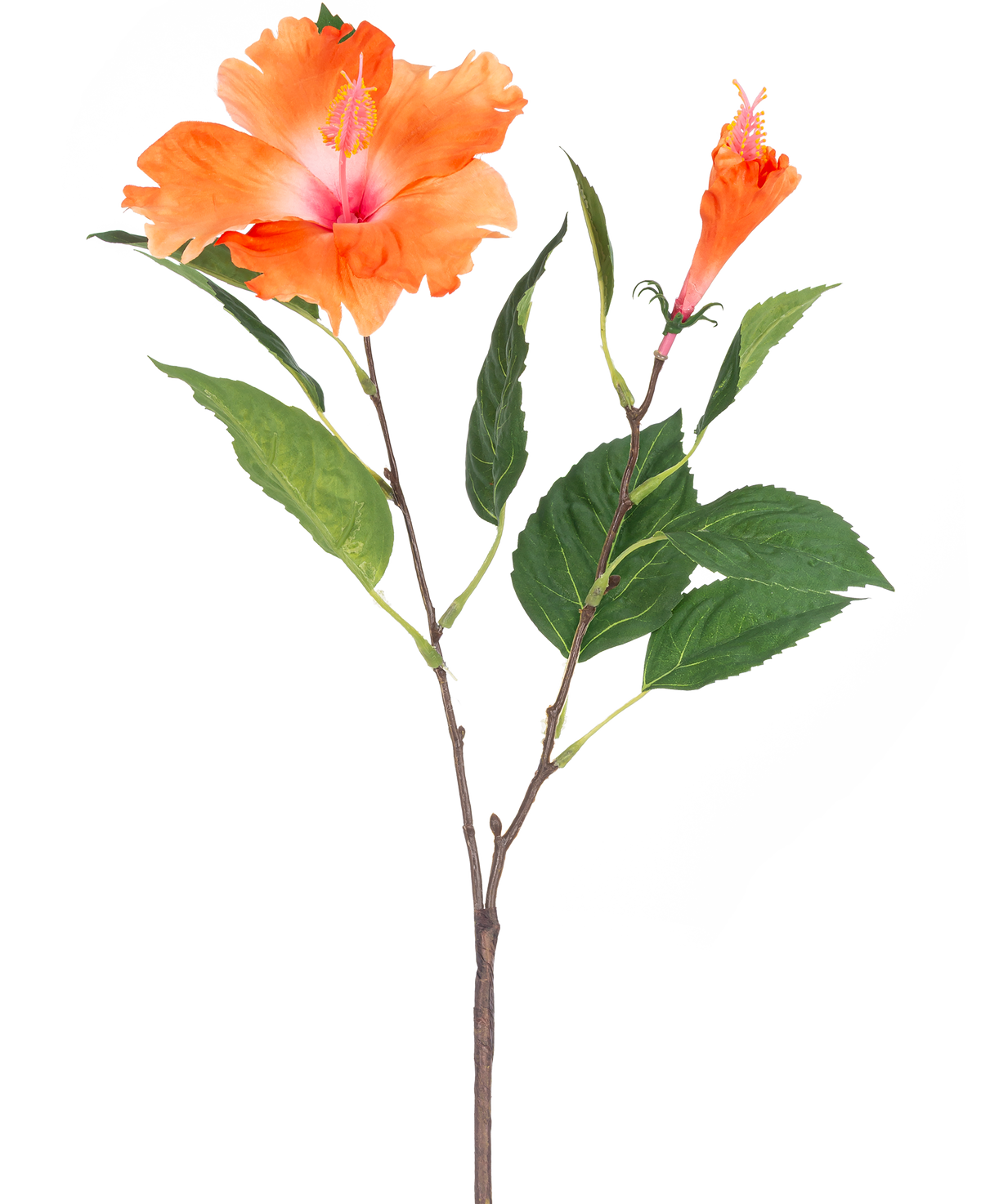 La Fleur Artificielle Hibiscus 64 cm orange a une seule tige avec des feuilles vertes et deux fleurs orange, une entièrement épanouie et une en forme de bouton, sur un fond blanc.