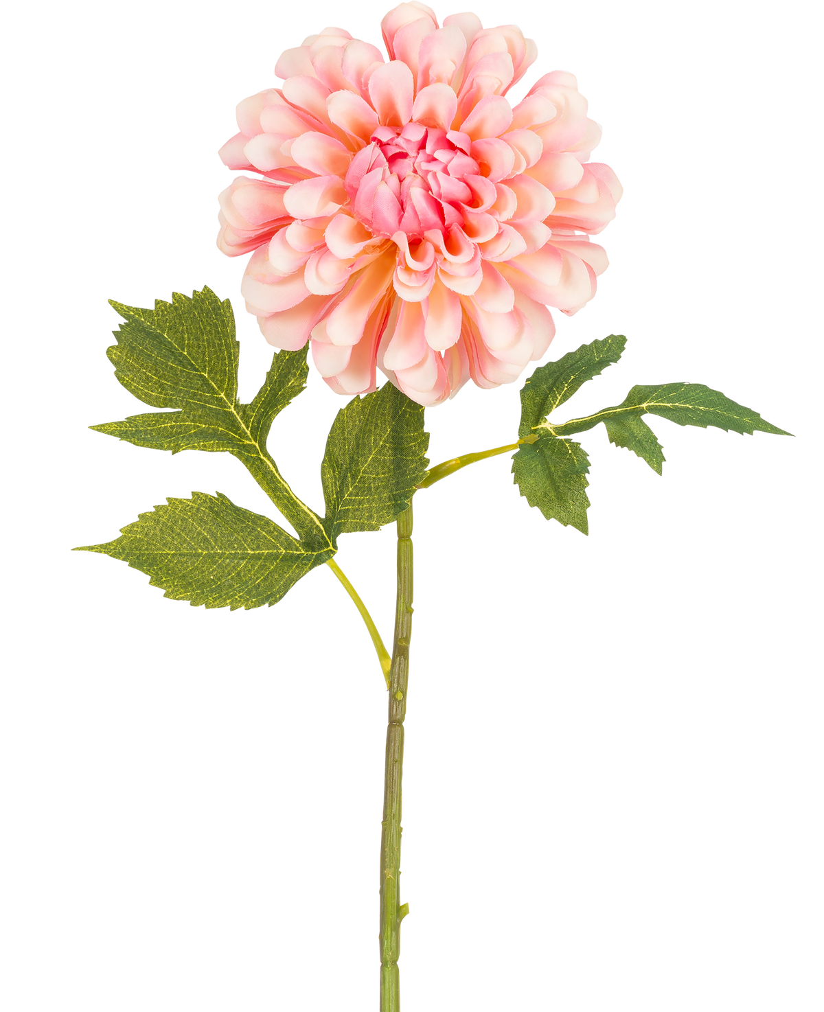 La Fleur Artificielle Dahlia 50 cm rose est un dahlia artificiel rose simple avec des pétales superposés et une tige verte avec trois séries de feuilles dentelées, sur un fond blanc.