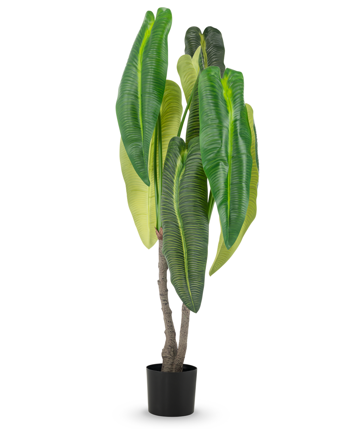 Une plante artificielle Anthurium de 150 cm à grandes feuilles en pot.