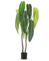 La plante artificielle Anthurium 180 cm possède deux tiges brunes et de grandes feuilles vertes allongées de différentes nuances, dans un petit pot noir sur fond blanc.