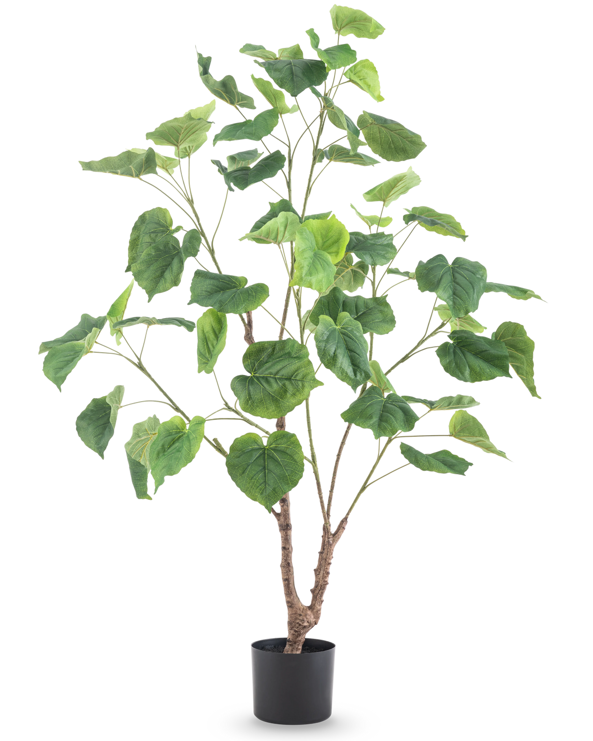 La plante artificielle Ficus 120 cm est une grande plante artificielle avec plusieurs branches fines et de grandes feuilles vertes en forme de cœur, dans un simple pot noir sur fond blanc.