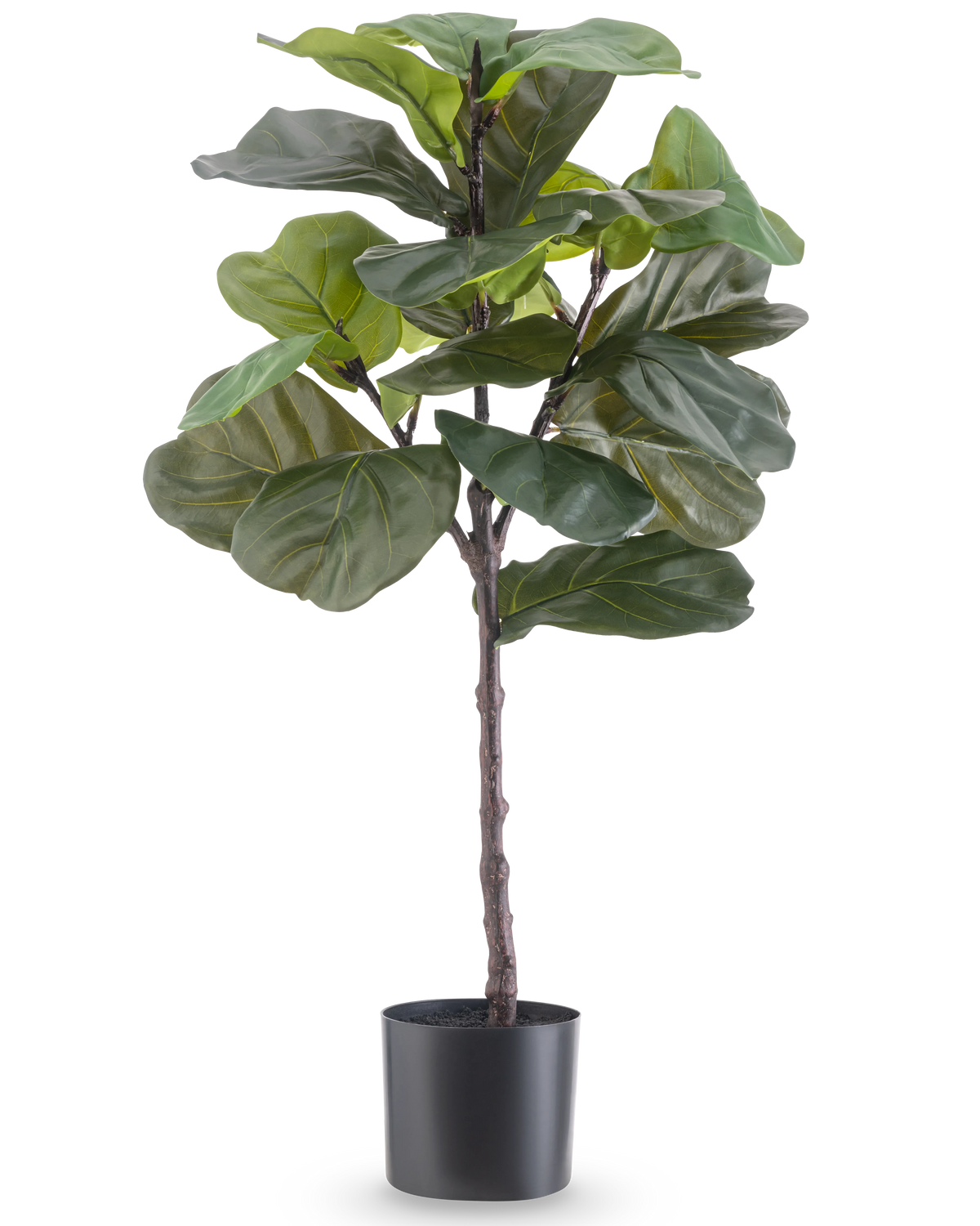 La plante artificielle Ficus Tobacco Plant Deluxe 90 cm est une grande plante d'intérieur artificielle avec de grandes feuilles vertes brillantes dans un pot noir, représentée sur un fond blanc uni.