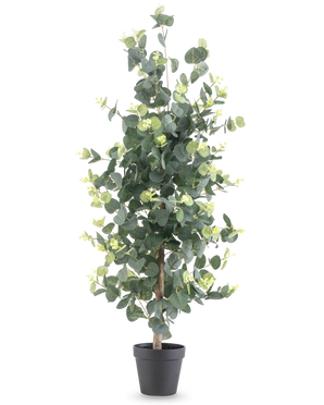 La plante artificielle Eucalyptus 91 cm présente de hautes feuilles rondes vertes réalistes et de petits bourgeons jaunes dans un pot noir, sur un fond blanc uni.