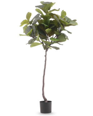 La Plante Artificielle Ficus Tobacco Plant Deluxe 180 cm est une plante artificielle haute avec de grandes feuilles vertes brillantes et un tronc brun élancé, sur un fond blanc uni.