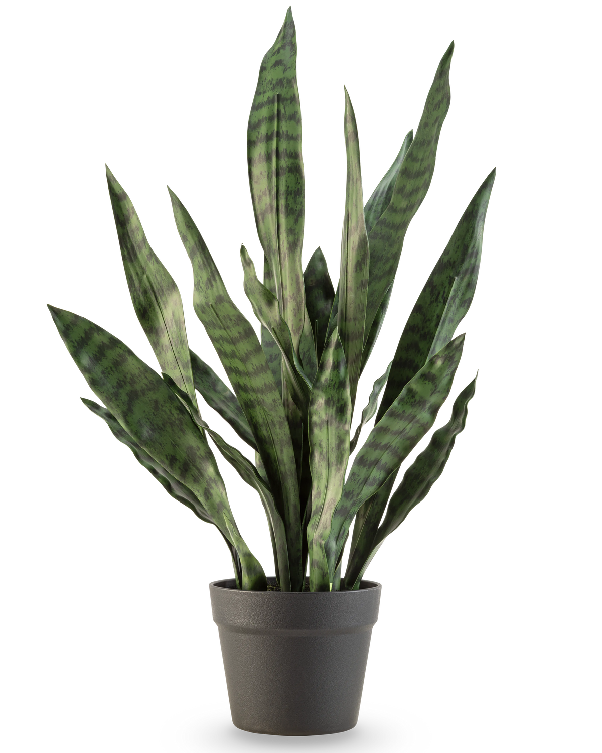 La plante artificielle Sansevieria Zeylanica 71 cm a de longues feuilles vertes dressées avec des rayures horizontales foncées, dans un simple pot gris foncé sur un fond blanc uni.