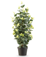 La Plante Artificielle Eucalyptus 61 cm est une plante artificielle en pot avec des feuilles vertes dans un simple pot noir, qui se dresse debout sur un fond blanc.