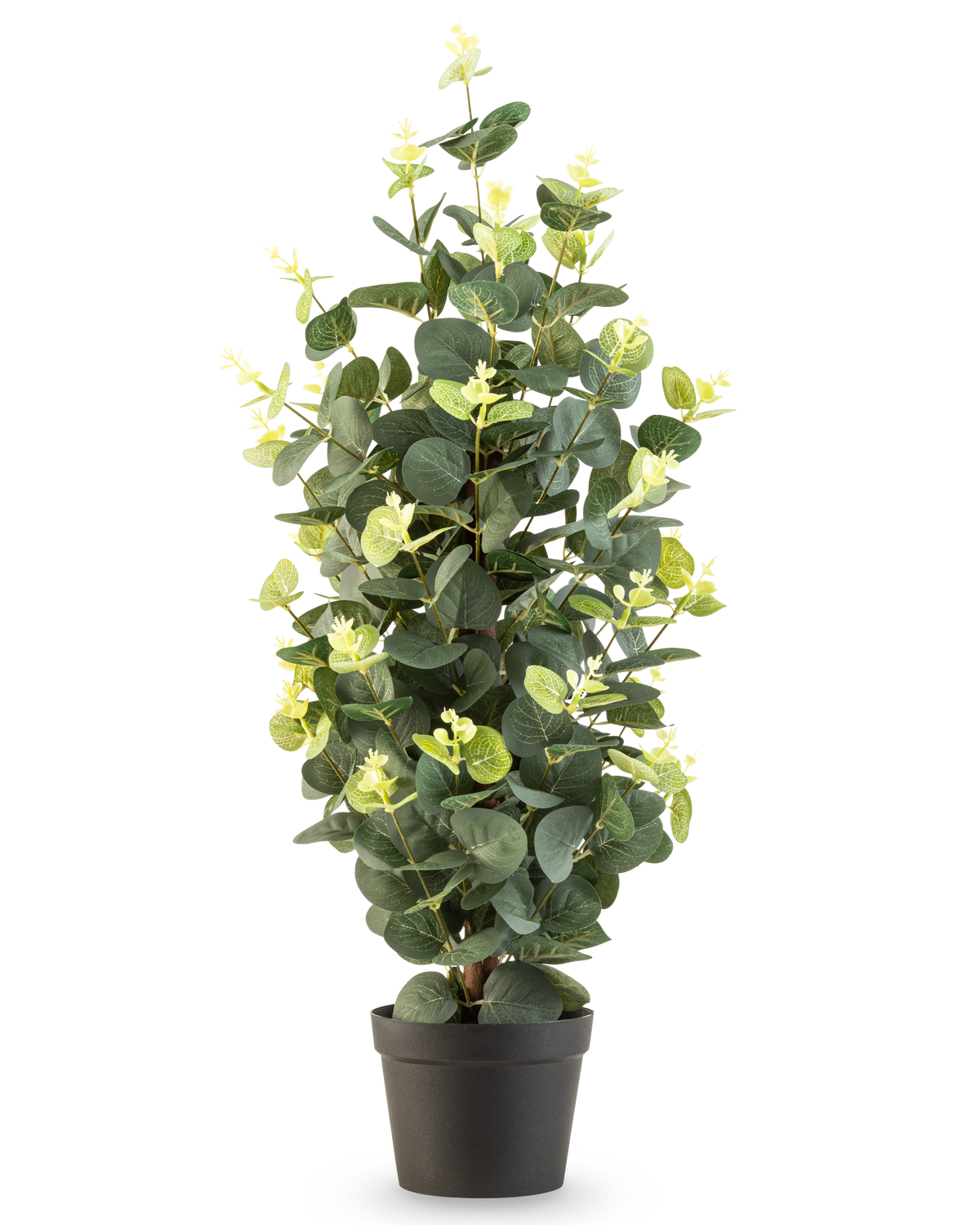 La Plante Artificielle Eucalyptus 61 cm est une plante artificielle en pot avec des feuilles vertes dans un simple pot noir, qui se dresse debout sur un fond blanc.