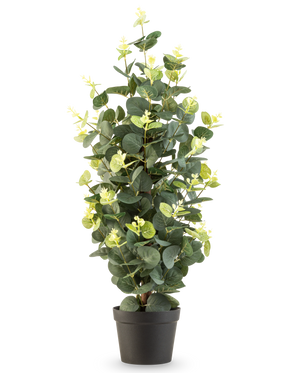 La Plante Artificielle Eucalyptus 61 cm est une plante artificielle en pot avec des feuilles vertes dans un simple pot noir, qui se dresse debout sur un fond blanc.