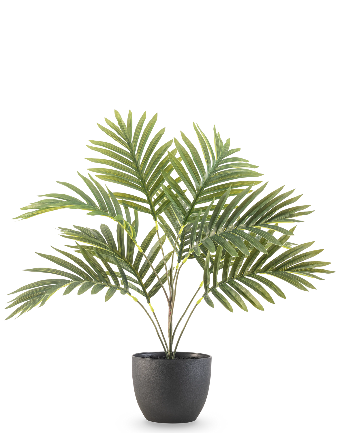 Le palmier artificiel Phoenix 50 cm présente de longues feuilles vertes courbées dans un pot décoratif rond noir, sur un fond blanc uni.