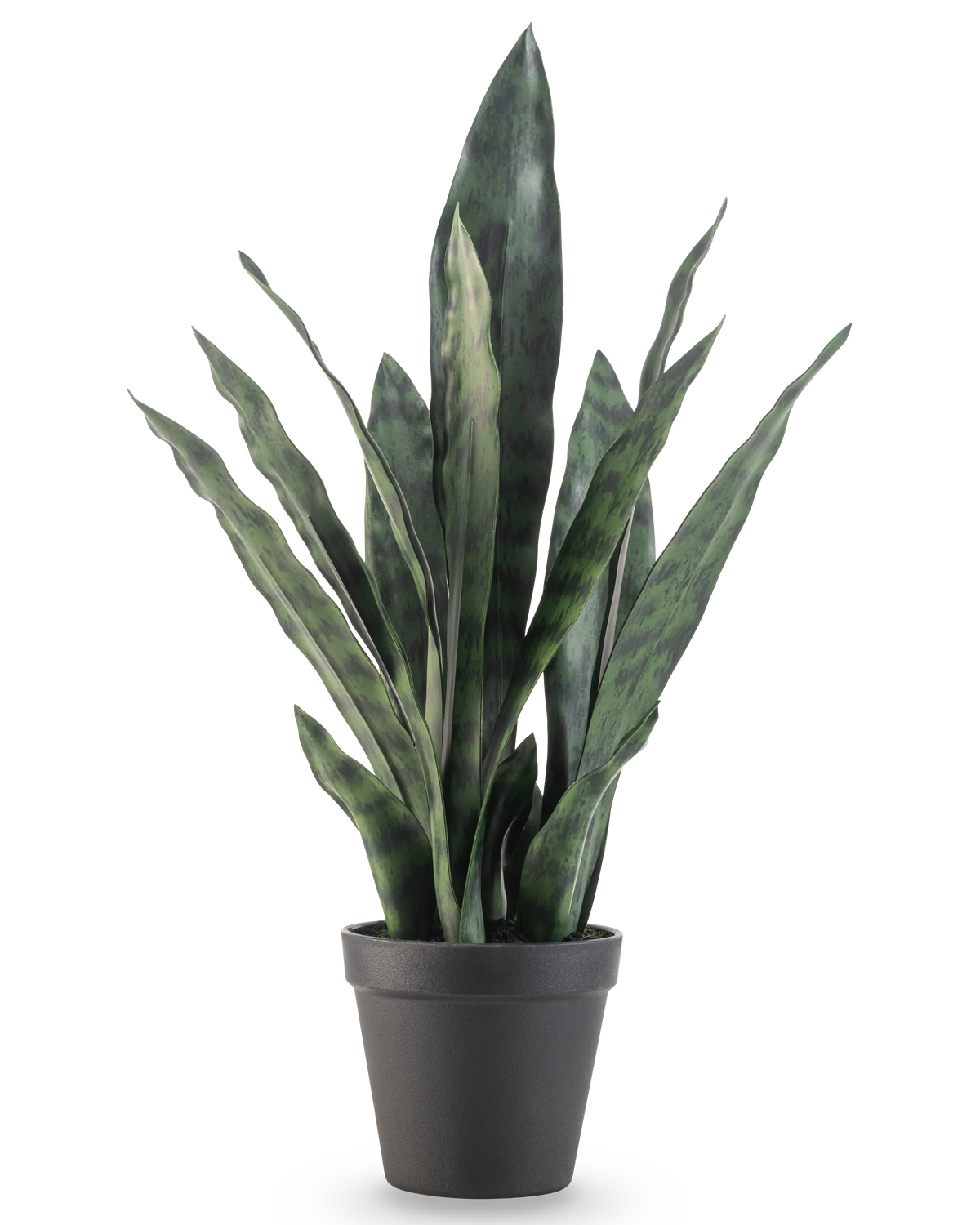 La plante artificielle Sansevieria Zeylanica 44 cm possède de longues feuilles vertes dressées aux motifs colorés, présentées dans un simple pot noir sur un fond blanc uni.