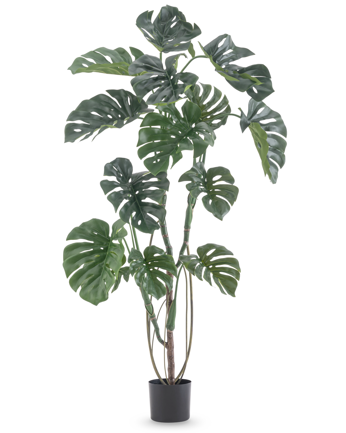 La Plante Artificielle Monstera 150 cm est une grande plante artificielle avec de grandes feuilles vertes fendues dans un simple pot noir, sur un fond blanc uni.