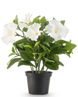 Une plante de pétunia artificielle UV de 25 cm de haut dans un pot en plastique noir a des feuilles vertes luxuriantes et plusieurs grandes fleurs blanches en forme de trompette, sur un fond blanc uni.