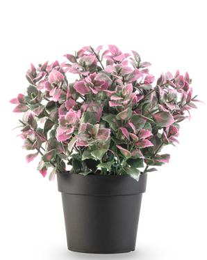 La Plante artificielle Eucalyptus violet en pot UV 22 cm présente des feuilles d'eucalyptus violettes dans un pot sombre, sur un fond uni blanc.