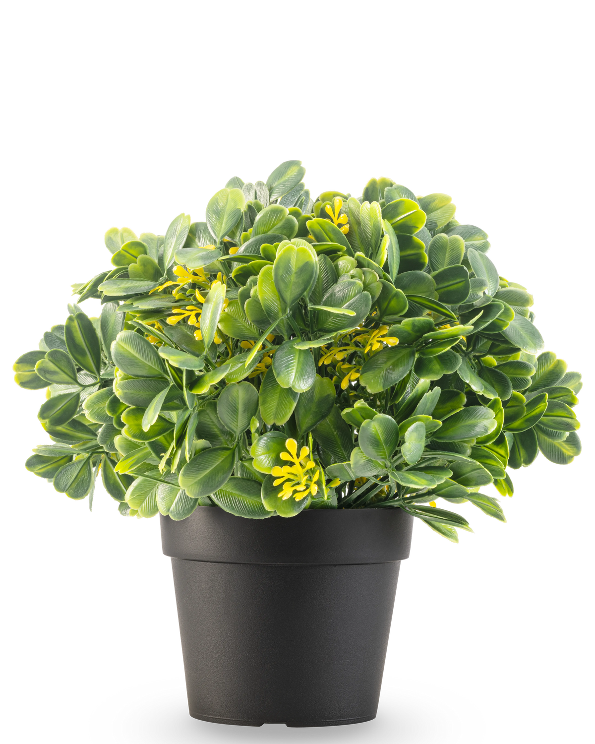La Plante Artificielle Vert/Jaune UV 21 cm présente des feuilles vertes et de petites fleurs jaunes dans un pot uni noir, sur fond blanc.