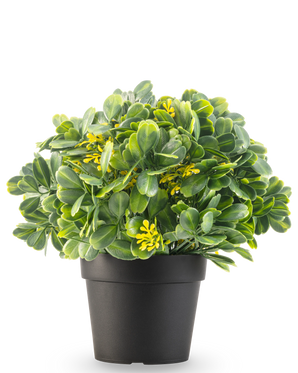 La Plante Artificielle Vert/Jaune UV 21 cm présente des feuilles vertes et de petites fleurs jaunes dans un pot uni noir, sur fond blanc.