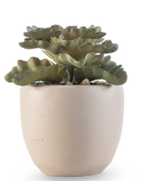 La plante succulente artificielle 15 cm a des feuilles plates vertes et ondulées dans un pot rond en céramique beige clair avec de petites pierres, sur un fond blanc.