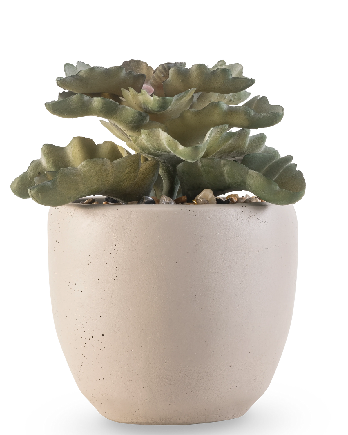 La plante succulente artificielle 15 cm a des feuilles plates vertes et ondulées dans un pot rond en céramique beige clair avec de petites pierres, sur un fond blanc.