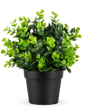 La Plante Artificielle Verte en pot UV 22 cm est une petite plante artificielle verte vibrante avec des feuilles denses et rondes dans un simple pot noir, représentée sur un fond blanc uni.