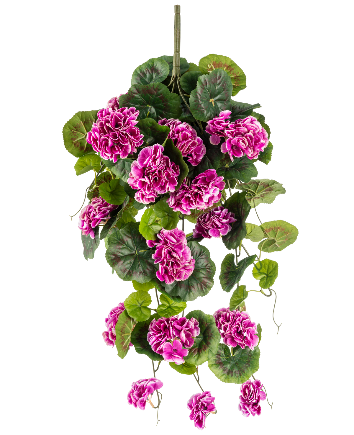 La plante artificielle suspendue Géranium 75 cm violet a des feuilles vertes luxuriantes et des grappes de fleurs violet-magenta vibrantes avec des bords blancs, qui tombent gracieusement sur une tige verticale pour un magnifique affichage suspendu.