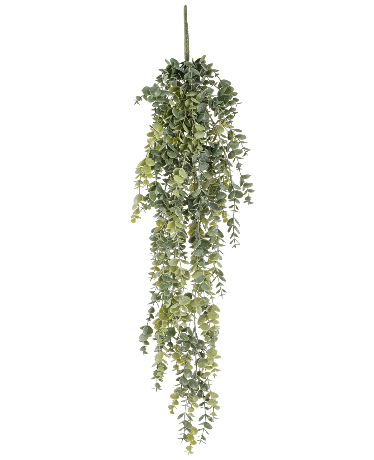 La plante artificielle suspendue Eucalyptus 60 cm a de petites feuilles vertes rondes et réalistes qui tombent, créant un eucalyptus artificiel réaliste sur un fond blanc uni.