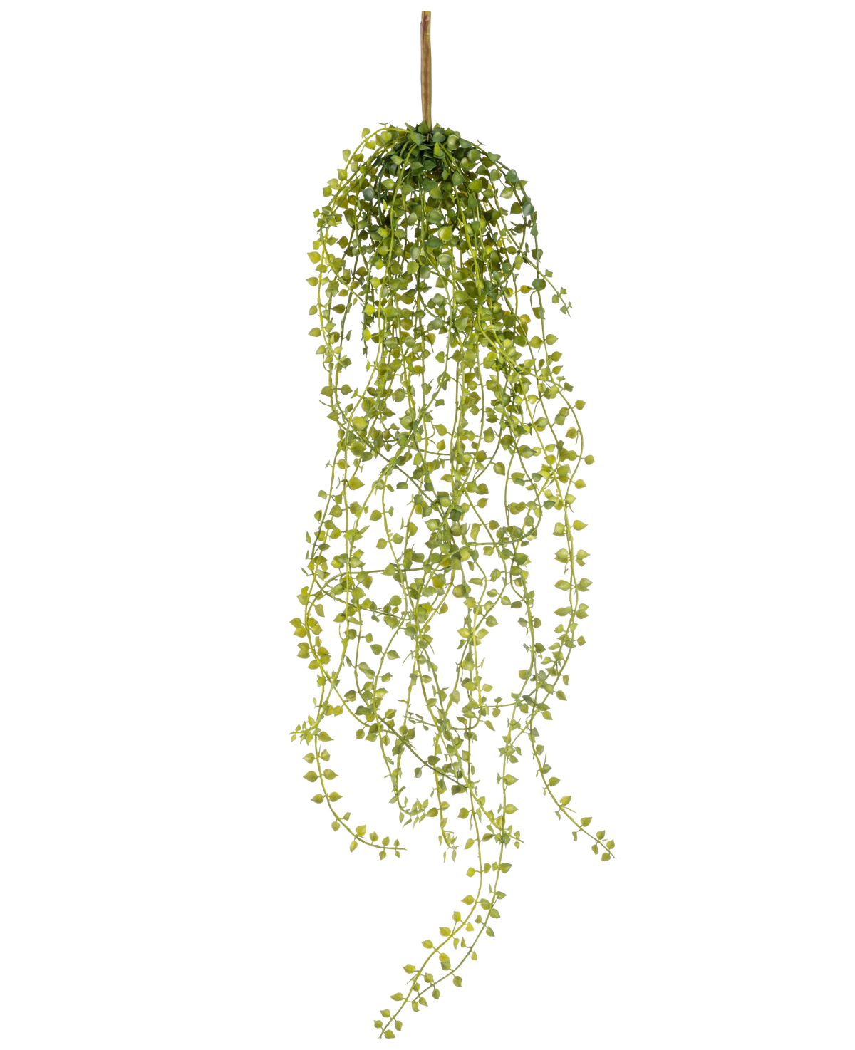 La Plante artificielle suspendue Jasmin 63 cm est une plante artificielle suspendue avec de longues tiges pendantes de petites feuilles vertes rondes, suspendues à une seule tige brune sur un fond blanc.