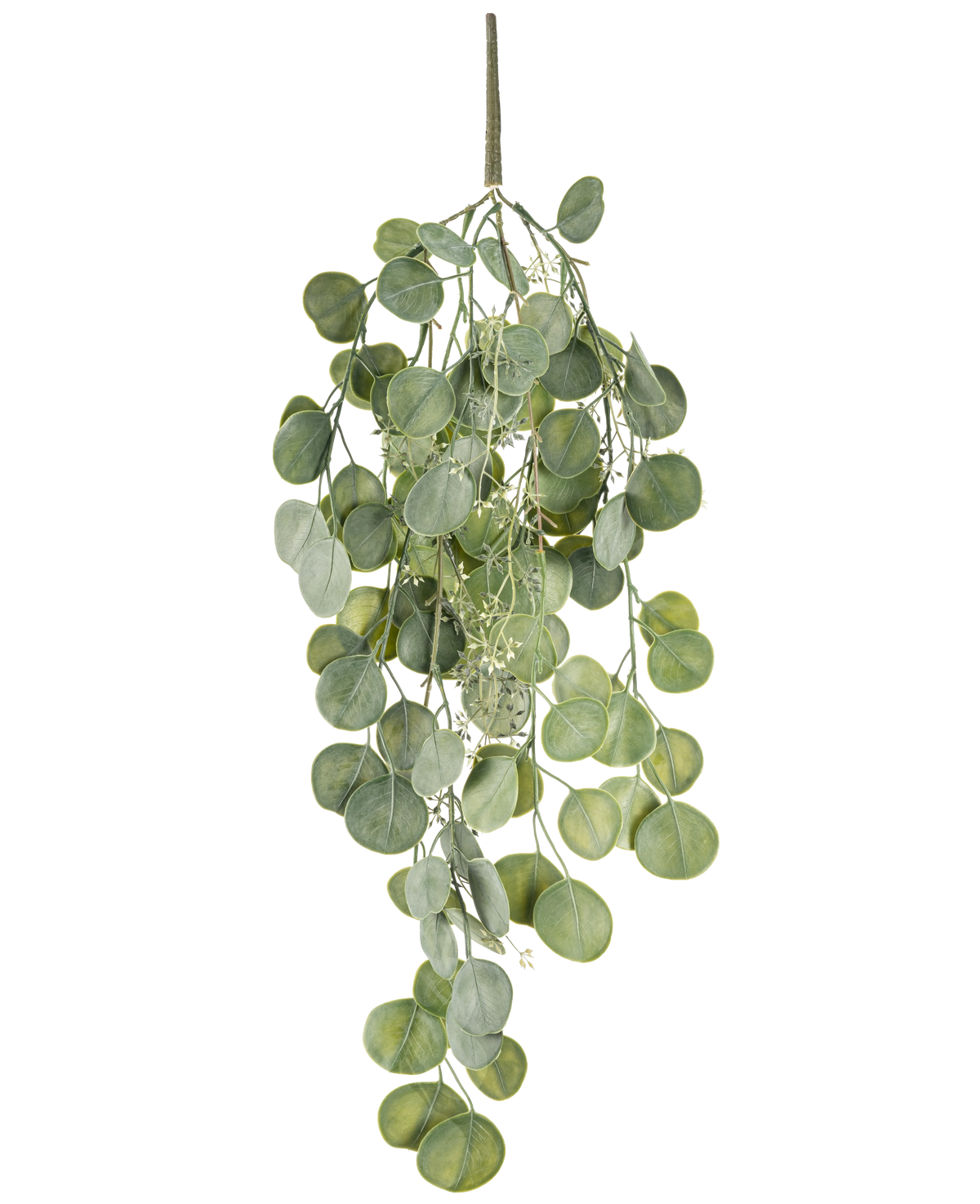 La plante artificielle suspendue Eucalyptus 73 cm possède des feuilles vertes rondes sur plusieurs tiges qui pendent gracieusement sur un fond blanc.