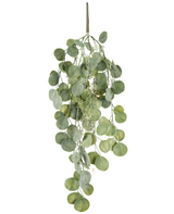 La plante artificielle suspendue Eucalyptus 73 cm possède des feuilles vertes rondes sur plusieurs tiges qui pendent gracieusement sur un fond blanc.