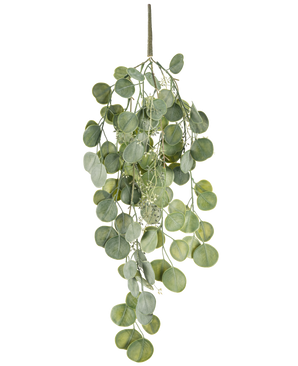 La plante artificielle suspendue Eucalyptus 73 cm possède des feuilles vertes rondes sur plusieurs tiges qui pendent gracieusement sur un fond blanc.